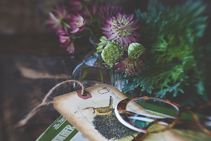 黑料正能量永不迷路,黑料百科