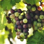 手机看片av免费观看2 koj5rn402a