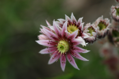 最爽的乱系列小说全集