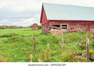 TVBOXPro官方下载：畅享高清影视，轻松体验智能娱乐新生活