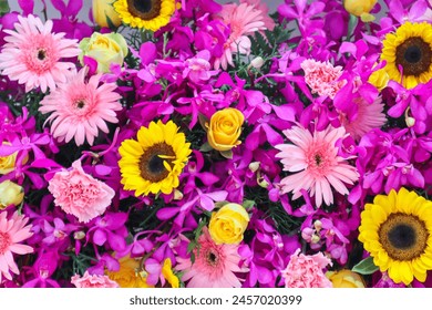 万能在线播放器：轻松享受多格式视频，无需下载的最佳选择