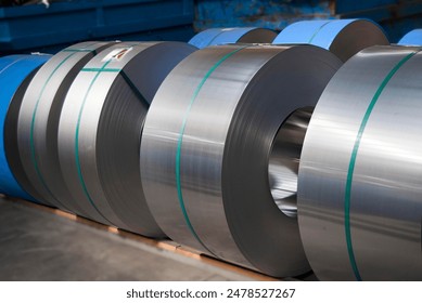 促进青少年发展的国家体育组织的重要性与影响